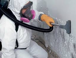 Best Water Damage & Mold Remediation  in Minier, IL